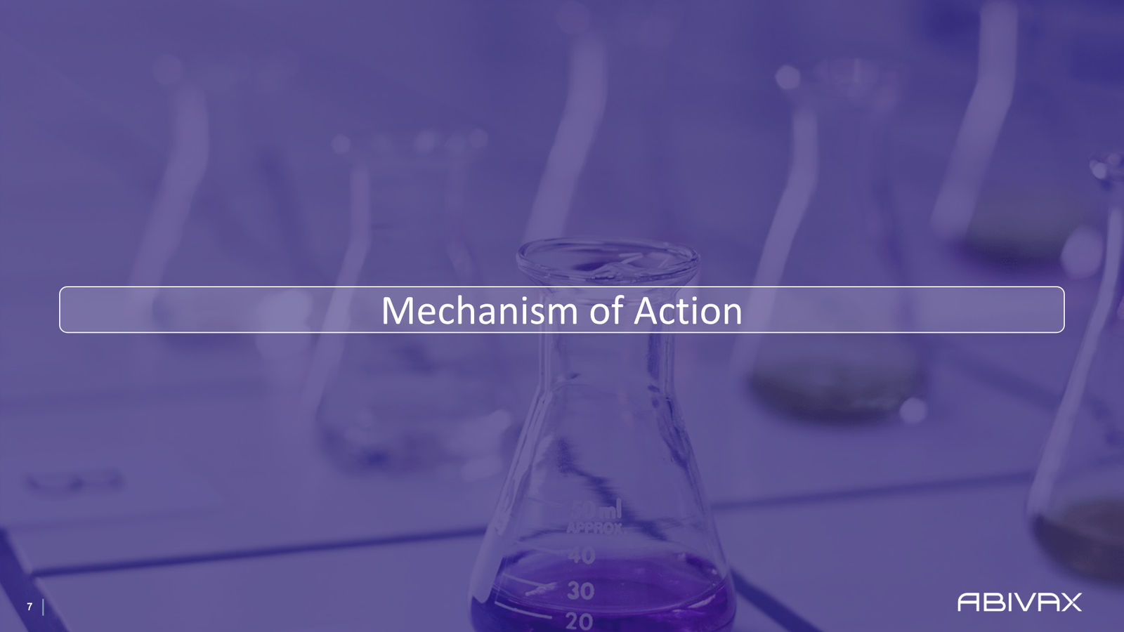Corporate Presentation — slide 7 of 48