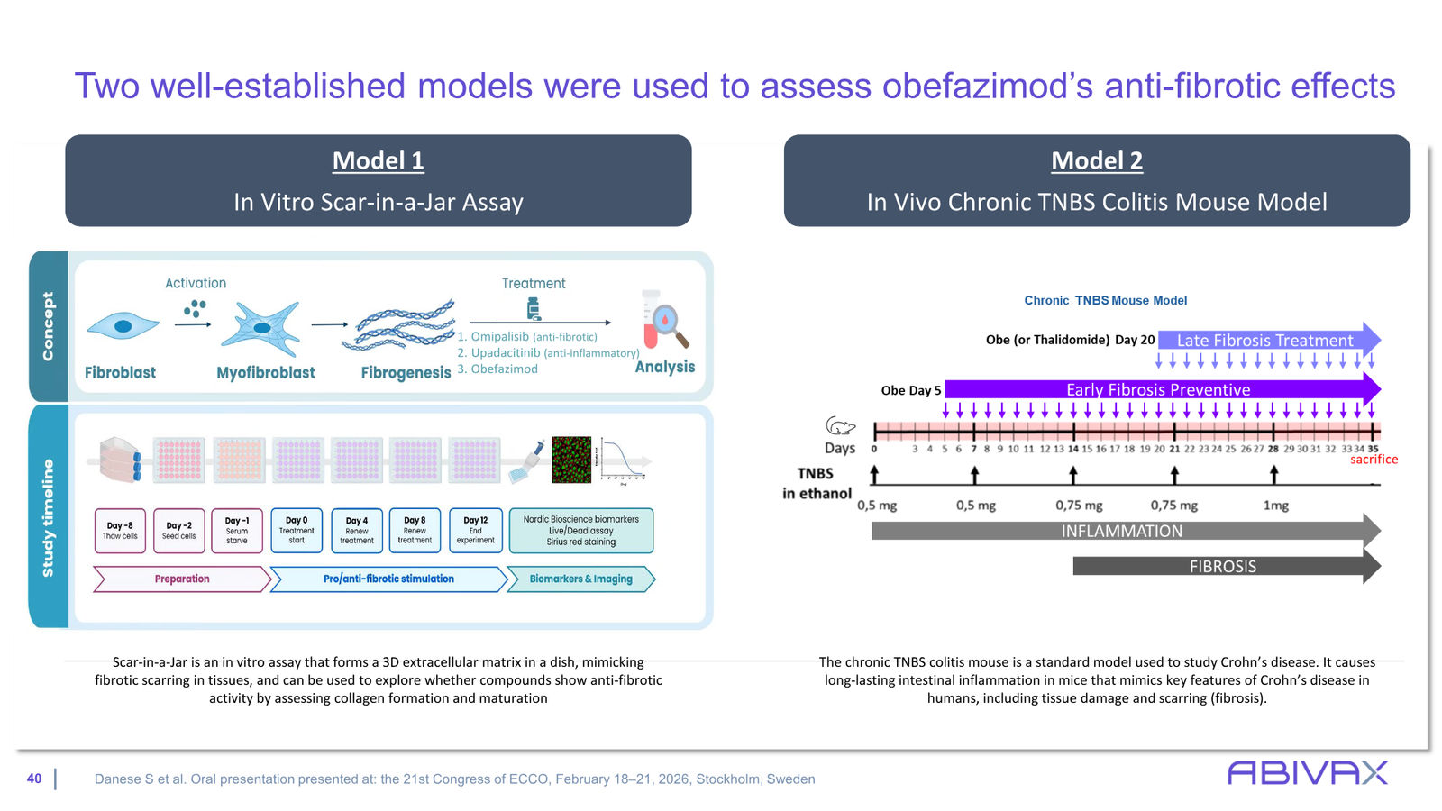 Corporate Presentation — slide 40 of 48