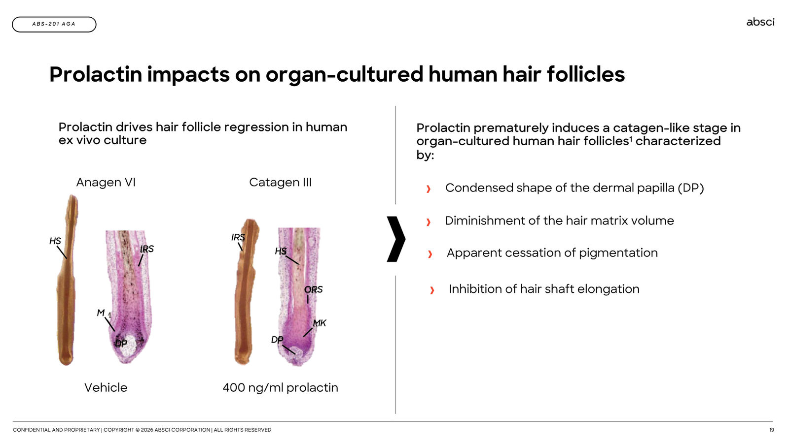 Corporate Presentation March 2026 — Generative AI Drug Creation — slide 19 of 79