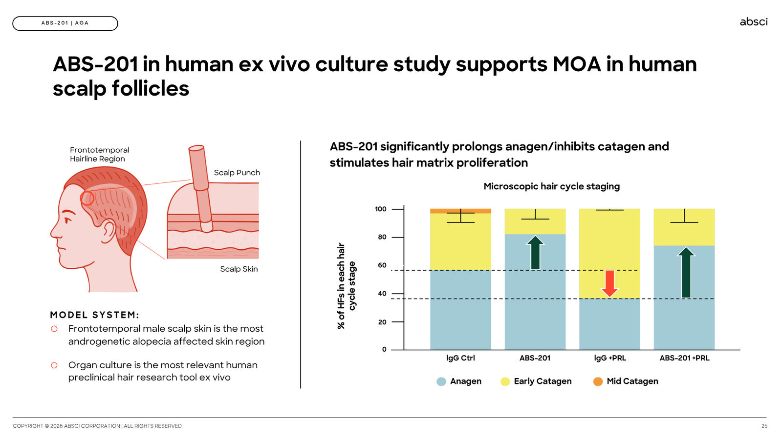 Corporate Presentation March 2026 — Generative AI Drug Creation — slide 25 of 79