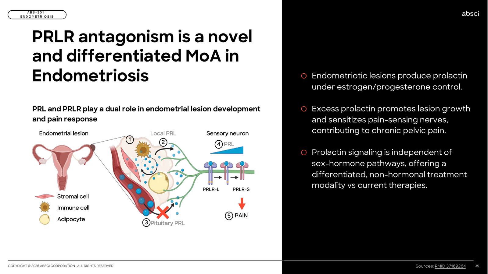 Corporate Presentation March 2026 — Generative AI Drug Creation — slide 35 of 79