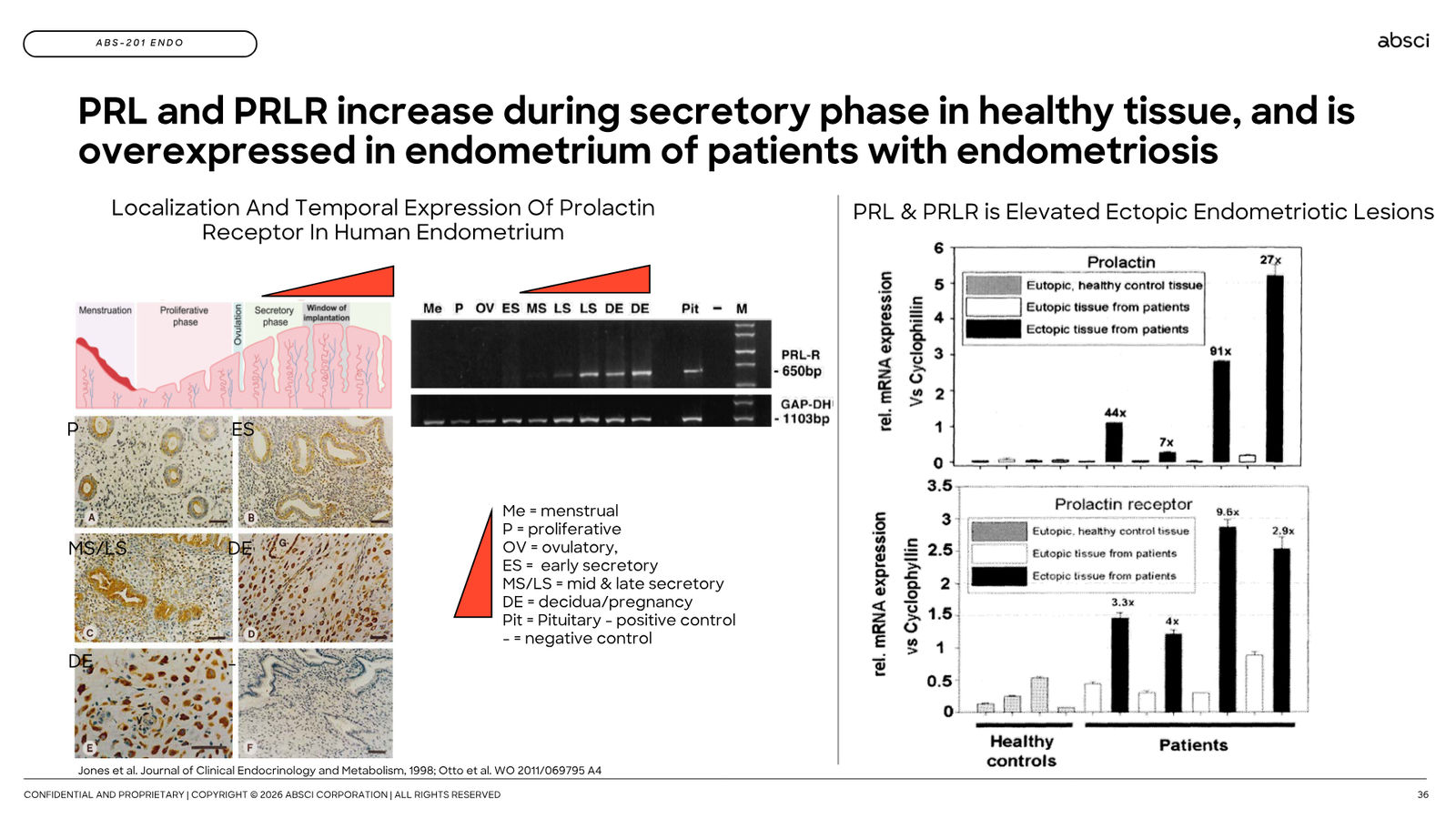 Corporate Presentation March 2026 — Generative AI Drug Creation — slide 36 of 79