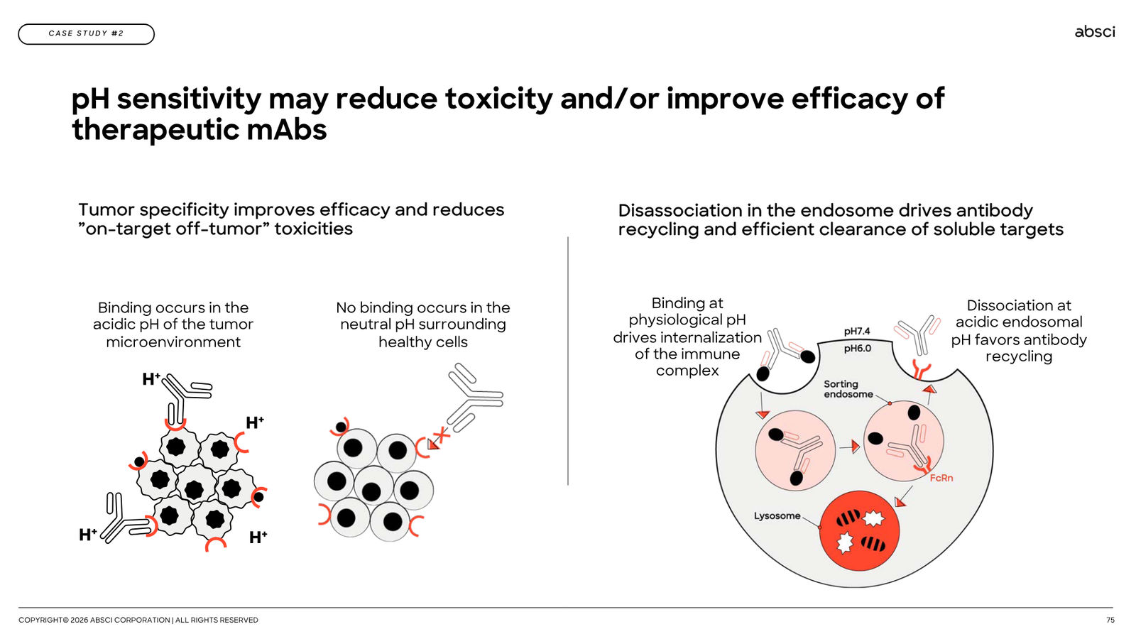 Corporate Presentation March 2026 — Generative AI Drug Creation — slide 75 of 79