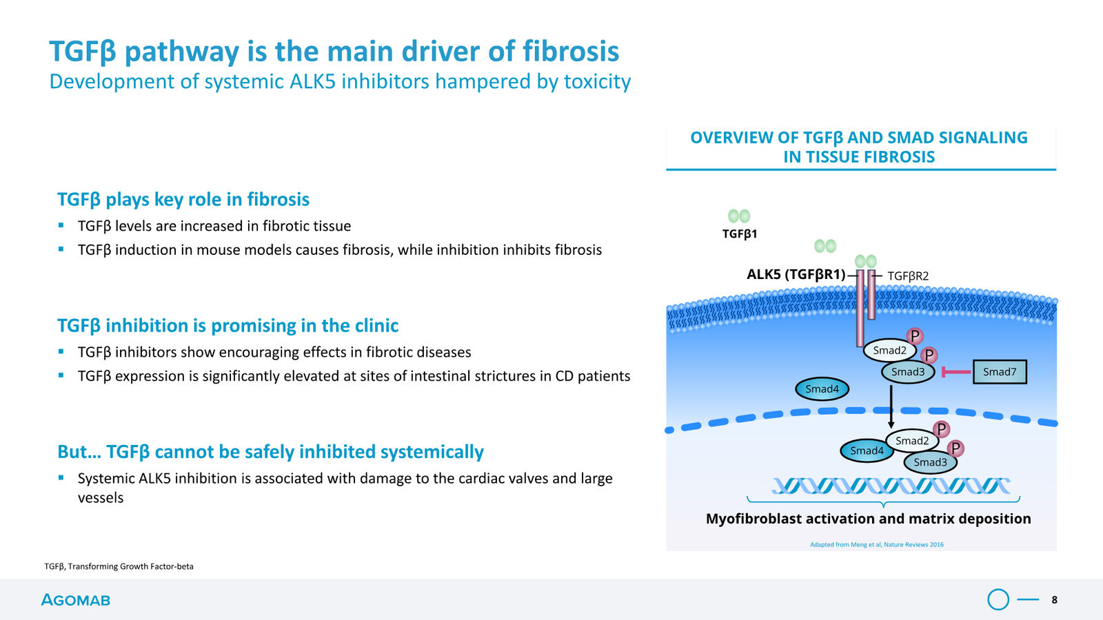 Agomab Investor Presentation — slide 8 of 50