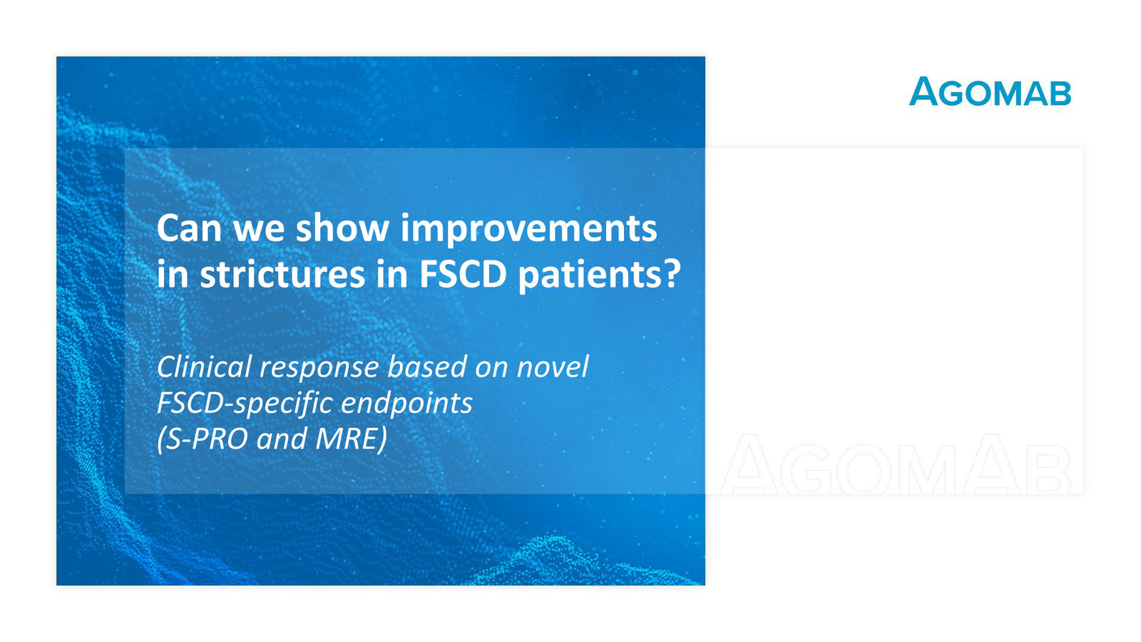 Agomab Investor Presentation — slide 28 of 50