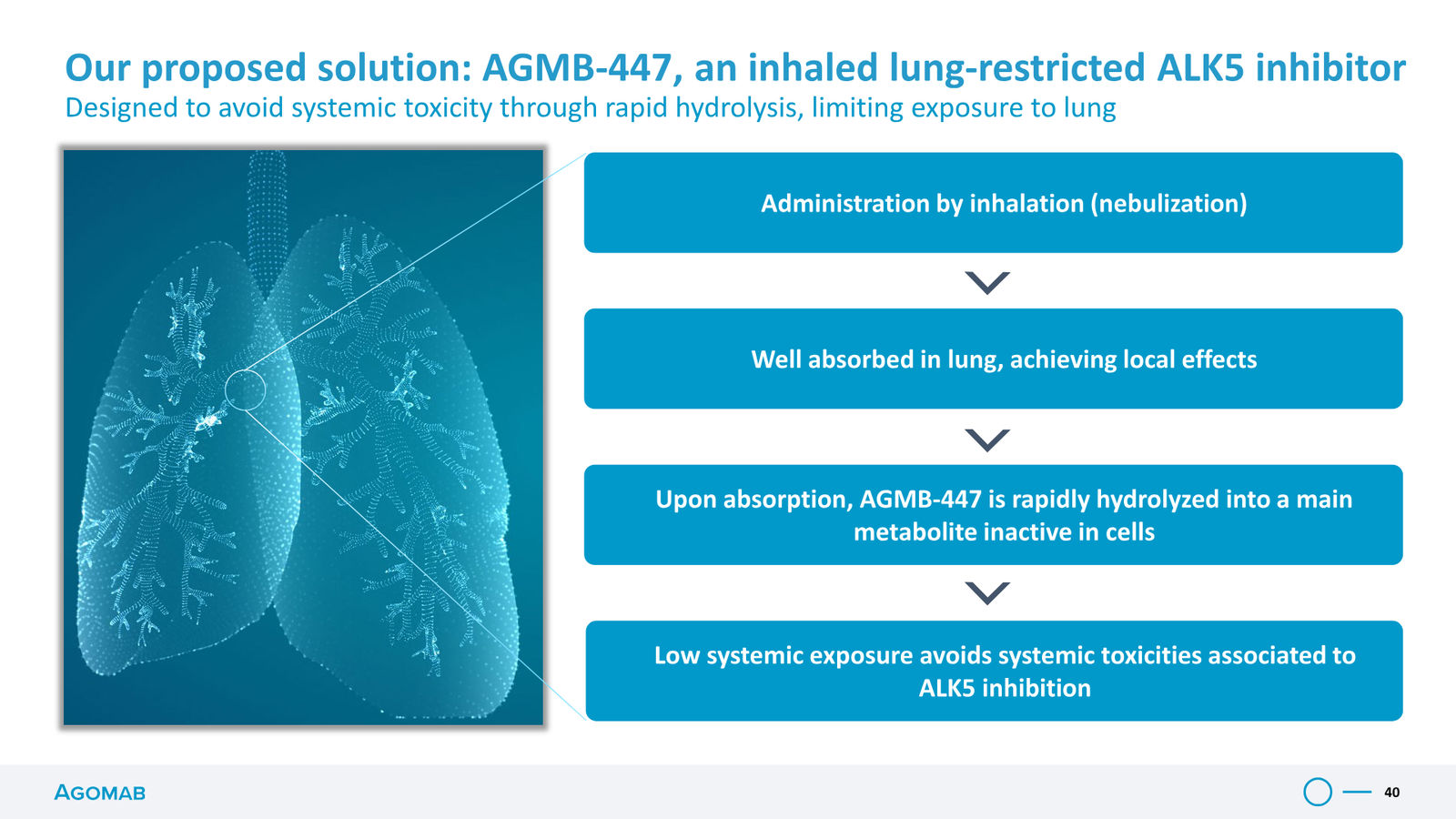 Agomab Investor Presentation — slide 40 of 50