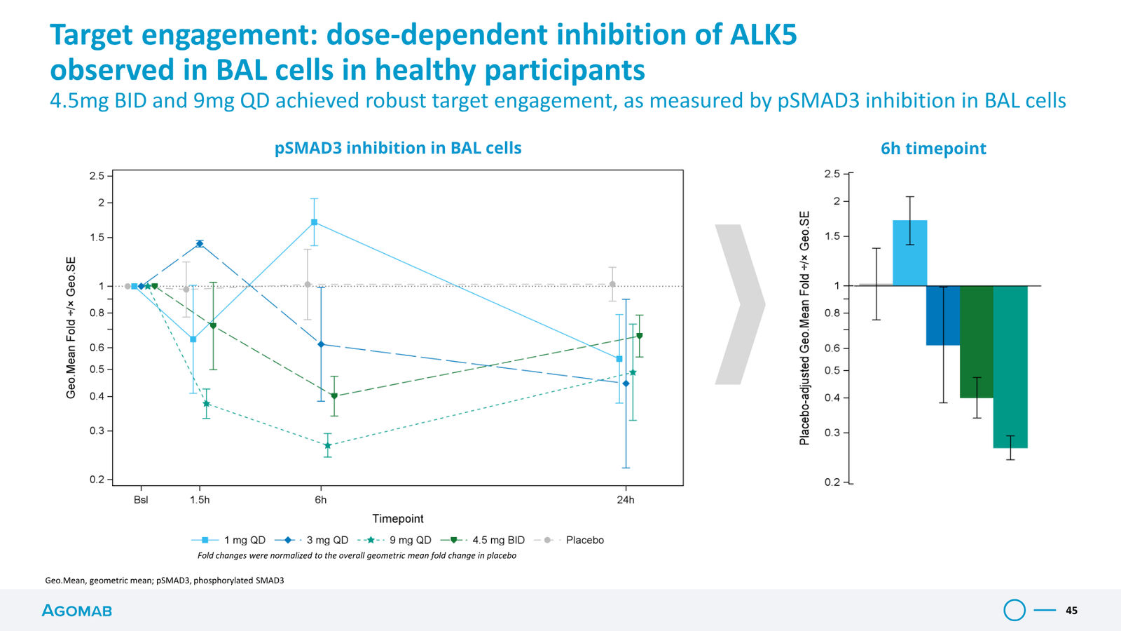 Agomab Investor Presentation — slide 45 of 50