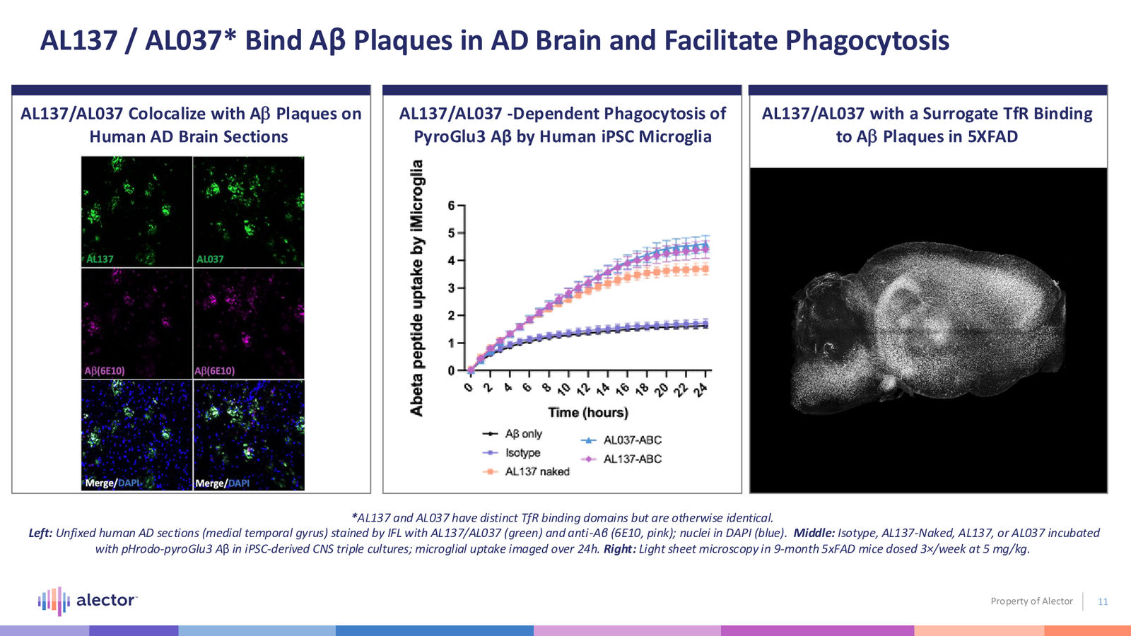 Alector Corporate Presentation — slide 11 of 28