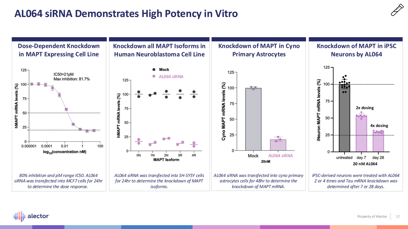 Alector Corporate Presentation — slide 17 of 28