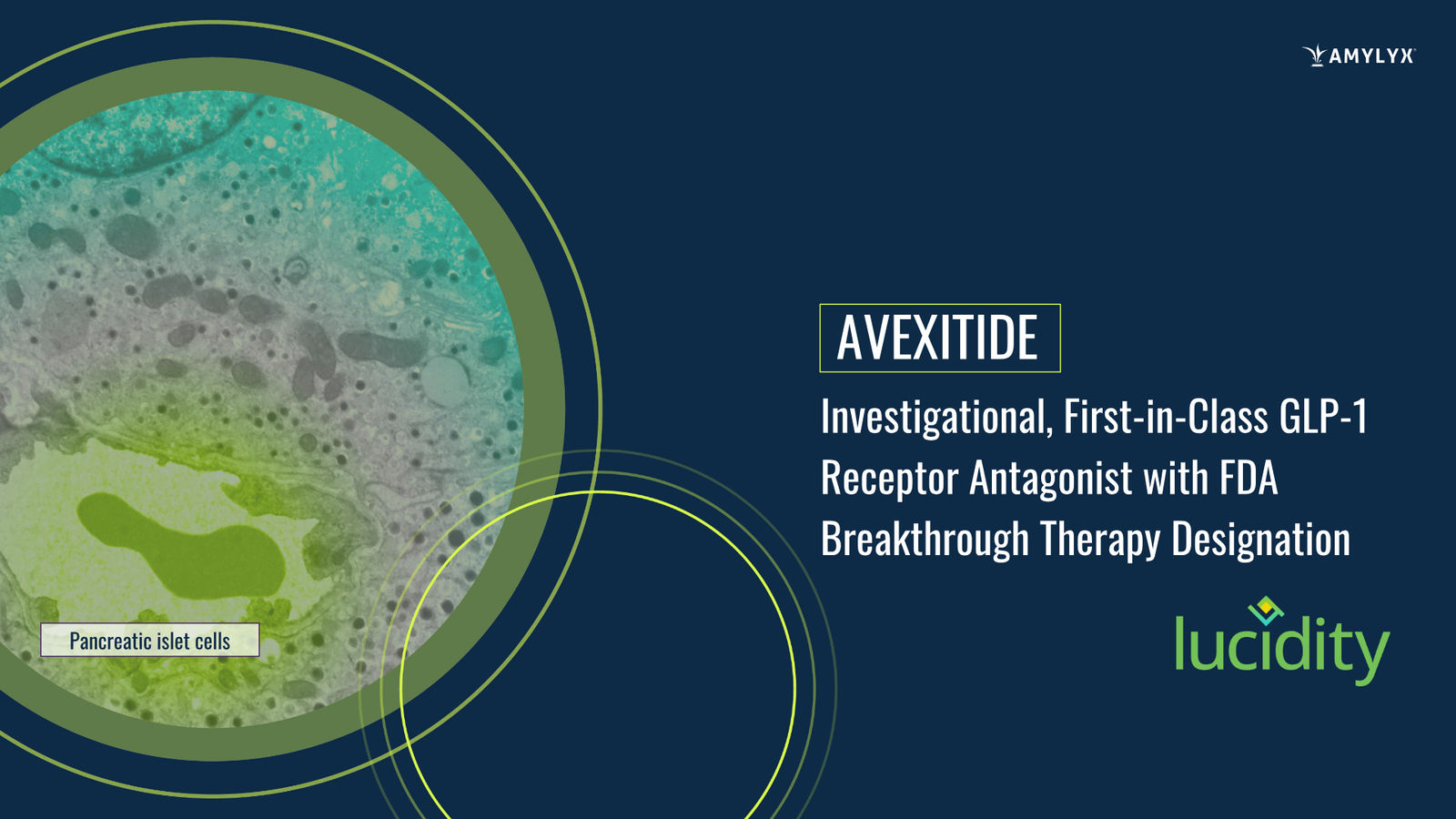 Amylyx Pharmaceuticals Corporate Presentation — March 2026 — slide 4 of 41