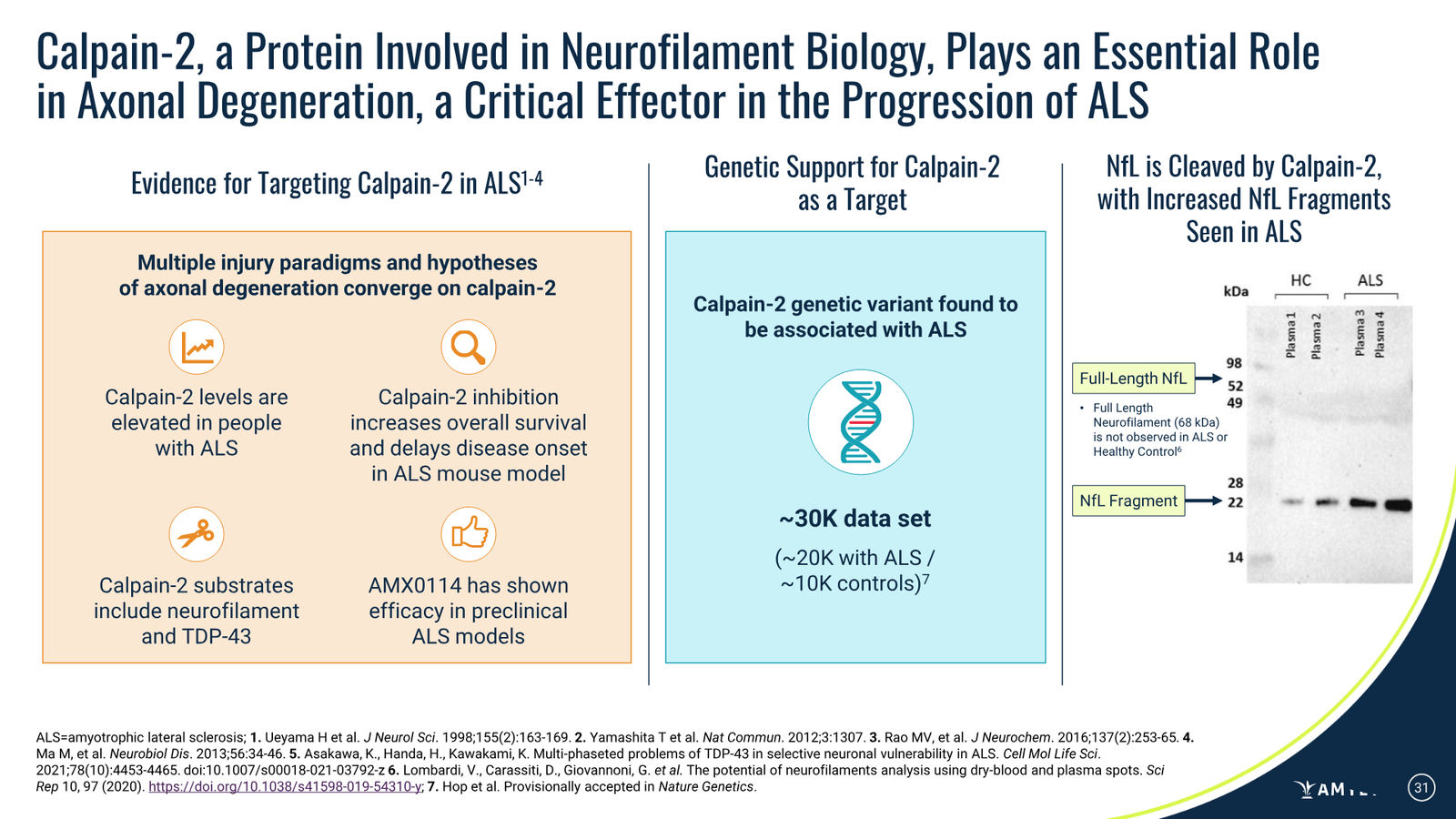 Amylyx Pharmaceuticals Corporate Presentation — March 2026 — slide 31 of 41