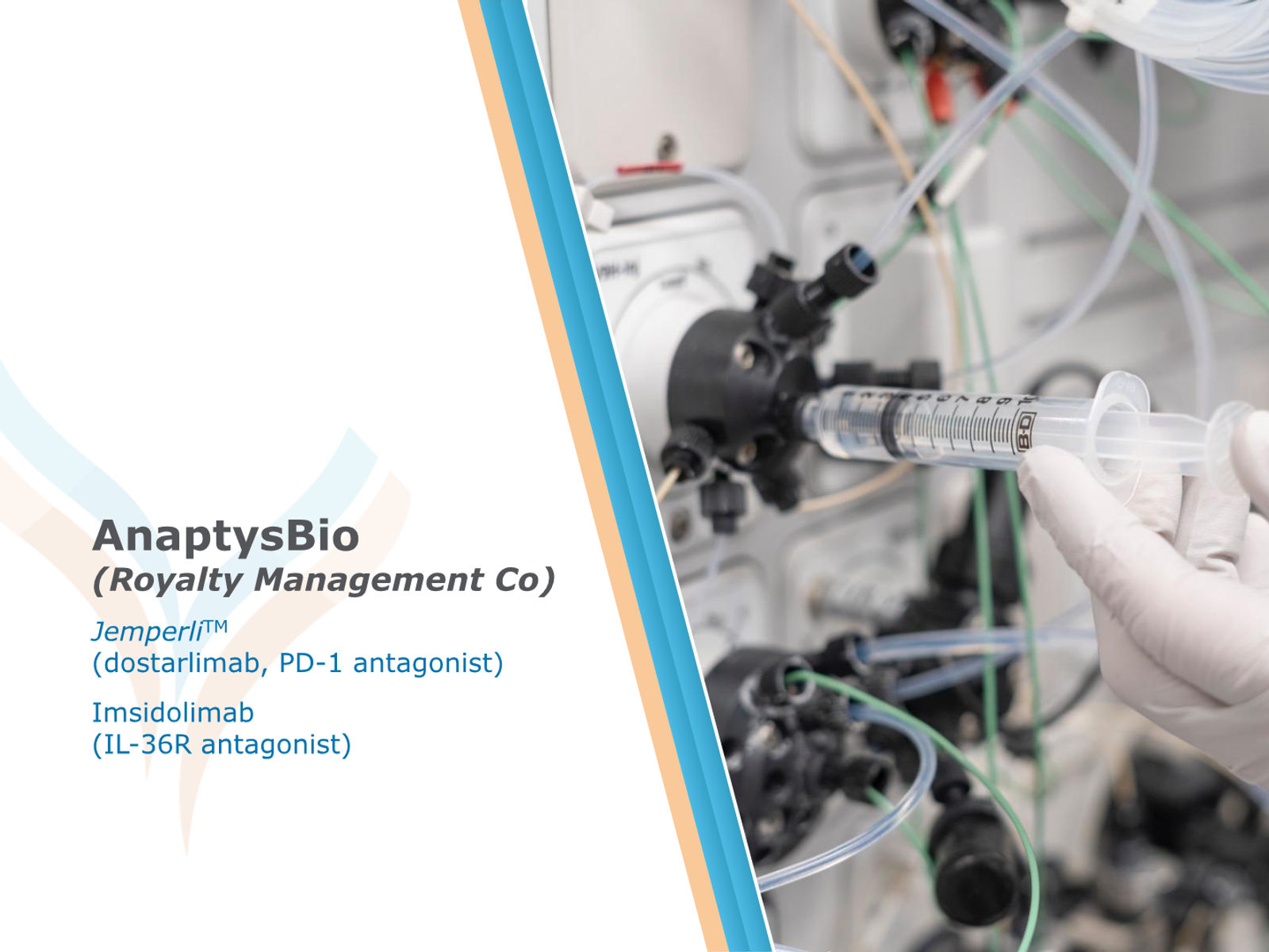 AnaptysBio Corporate Presentation — April 2026 — slide 6 of 66