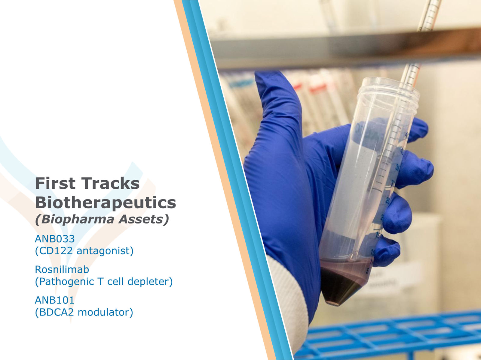 AnaptysBio Corporate Presentation — April 2026 — slide 12 of 66