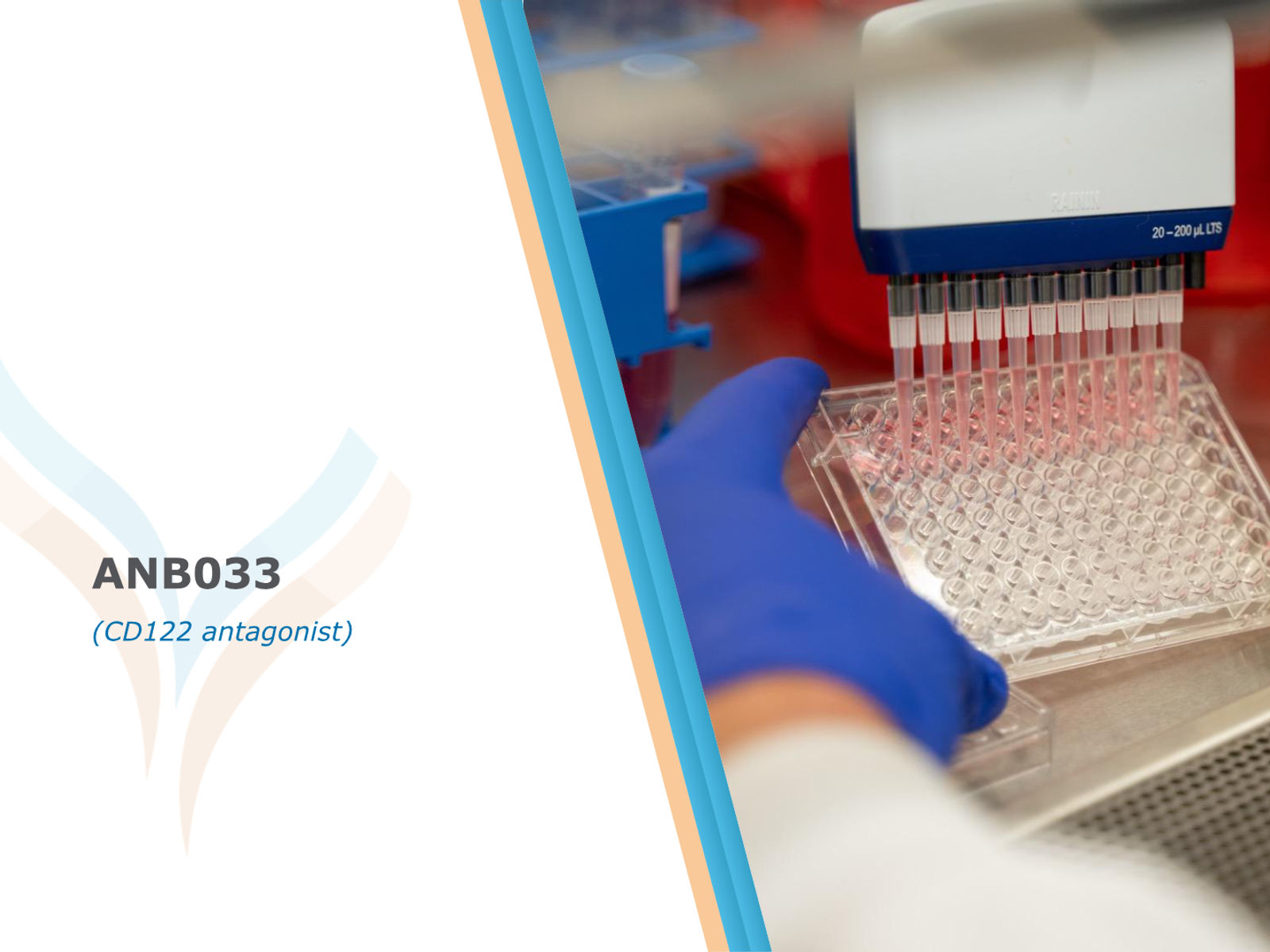 AnaptysBio Corporate Presentation — April 2026 — slide 13 of 66