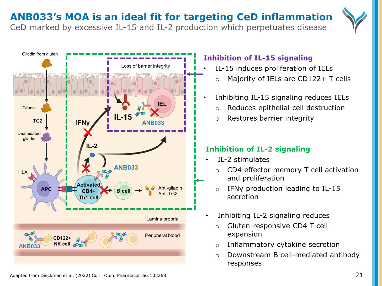 AnaptysBio Corporate Presentation — April 2026 — slide 21 of 66