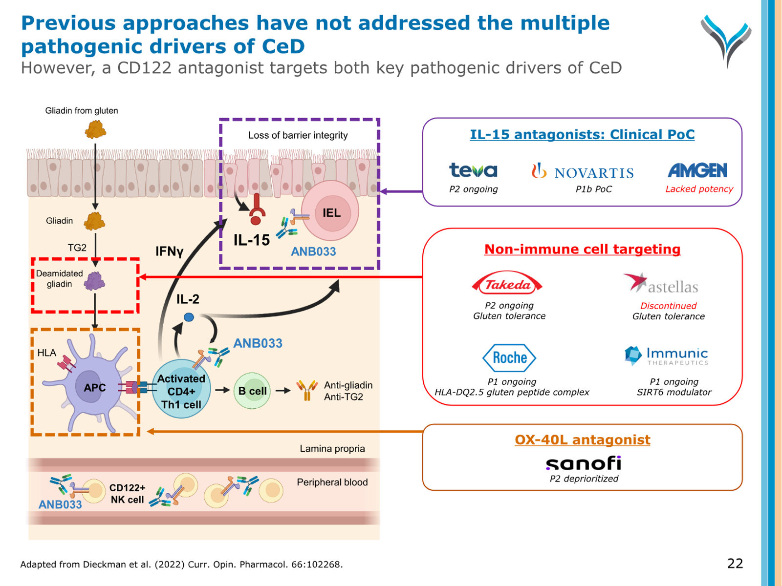 AnaptysBio Corporate Presentation — April 2026 — slide 22 of 66