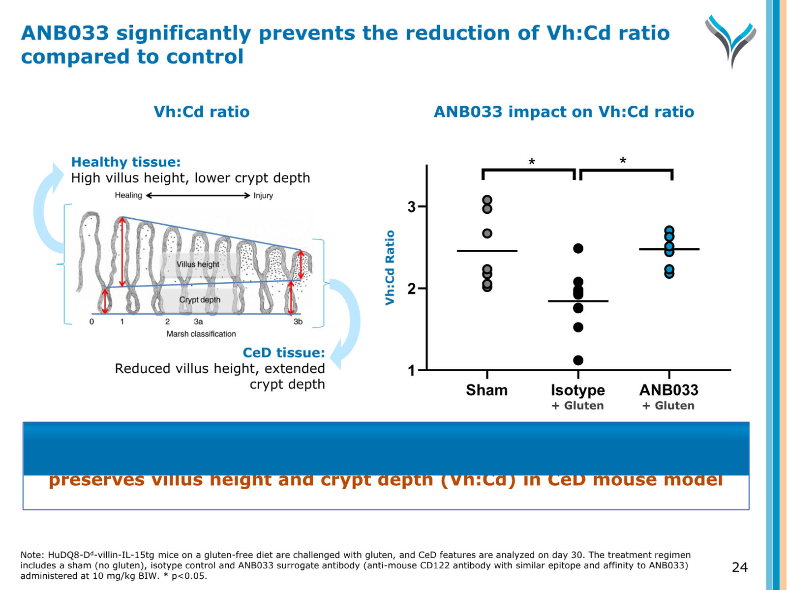 AnaptysBio Corporate Presentation — April 2026 — slide 24 of 66