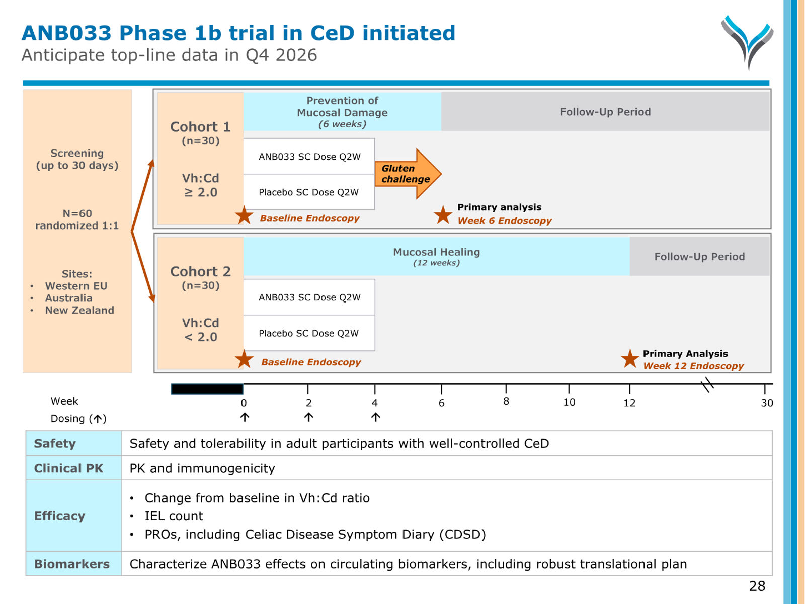 AnaptysBio Corporate Presentation — April 2026 — slide 28 of 66