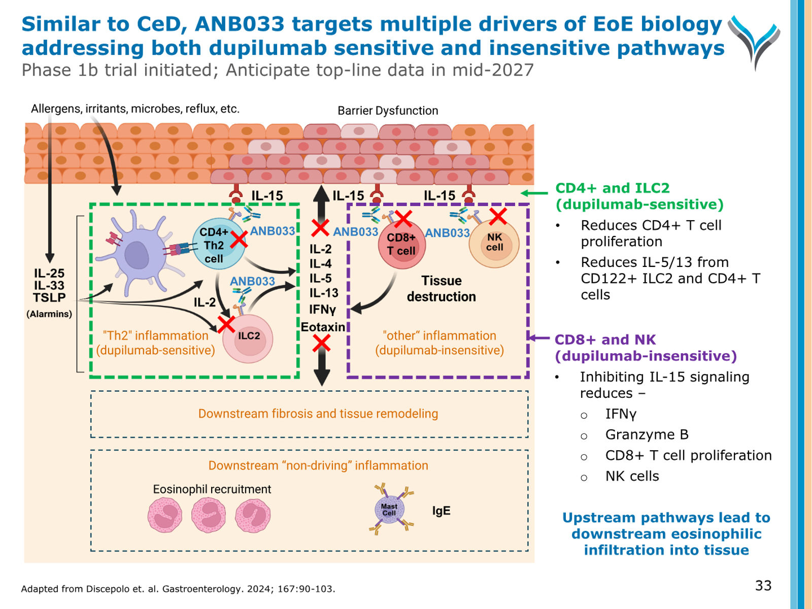 AnaptysBio Corporate Presentation — April 2026 — slide 33 of 66
