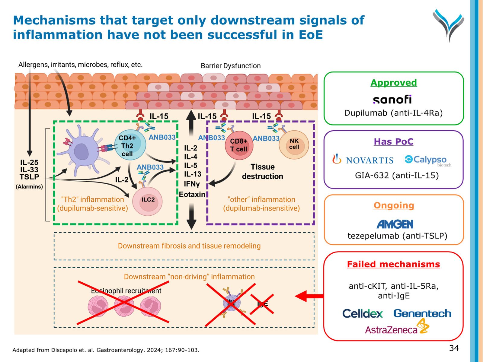 AnaptysBio Corporate Presentation — April 2026 — slide 34 of 66