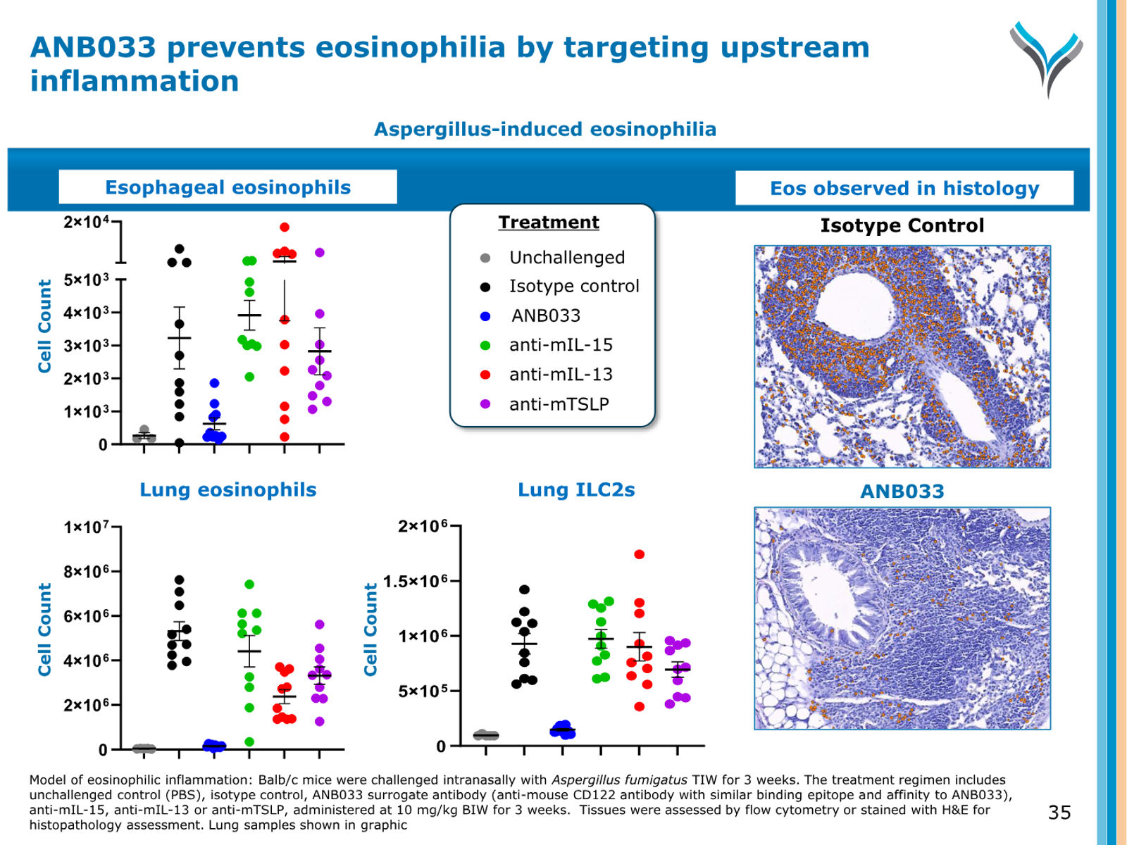 AnaptysBio Corporate Presentation — April 2026 — slide 35 of 66