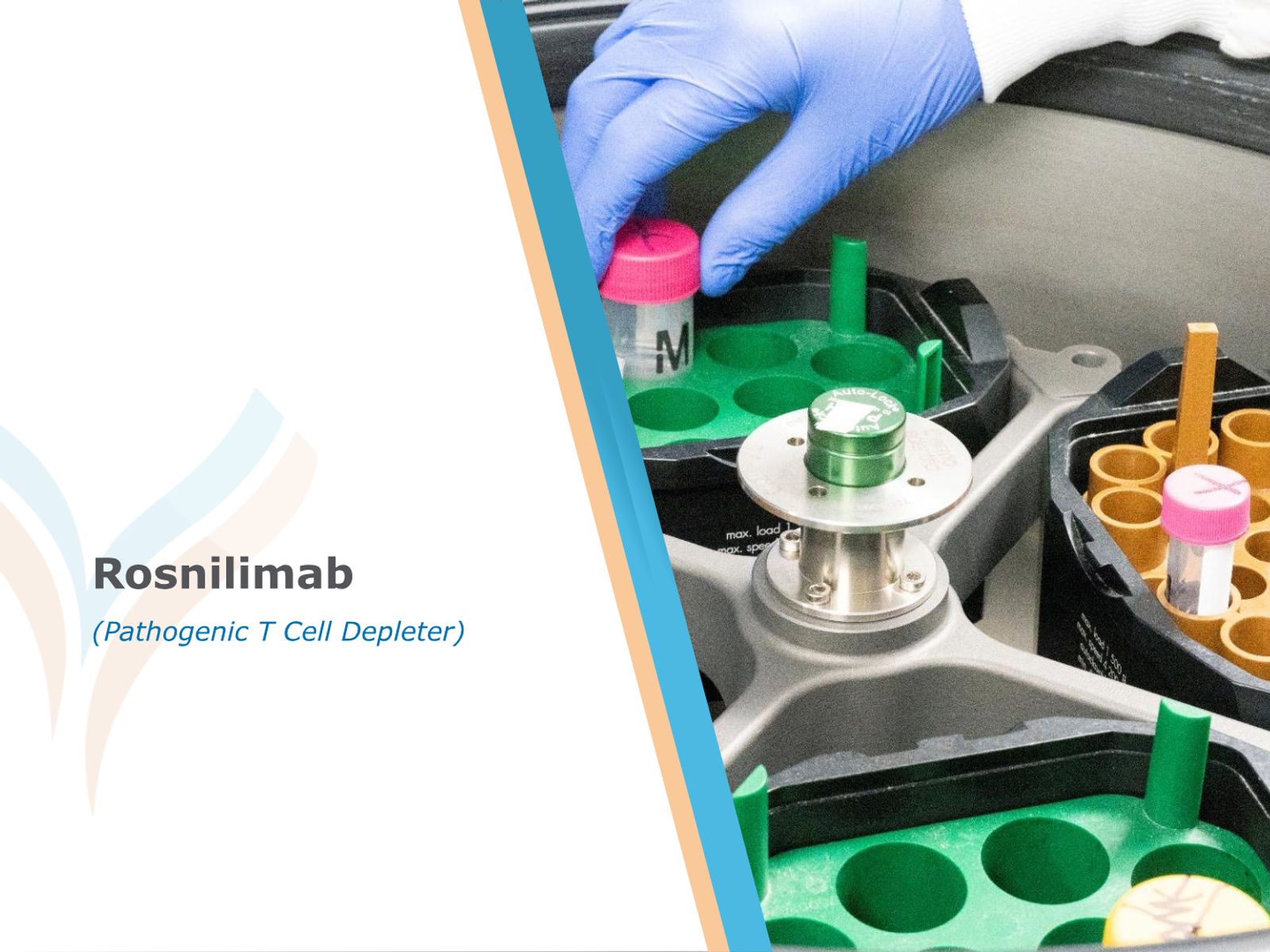 AnaptysBio Corporate Presentation — April 2026 — slide 39 of 66