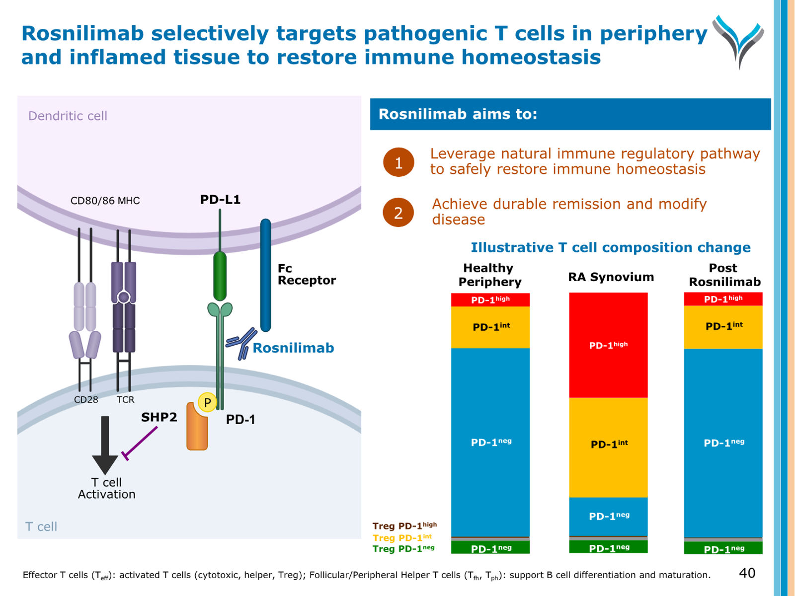 AnaptysBio Corporate Presentation — April 2026 — slide 40 of 66