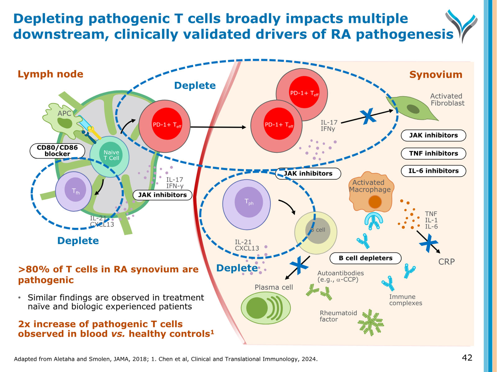 AnaptysBio Corporate Presentation — April 2026 — slide 42 of 66