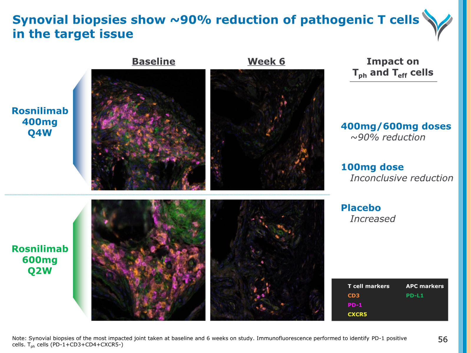 AnaptysBio Corporate Presentation — April 2026 — slide 56 of 66