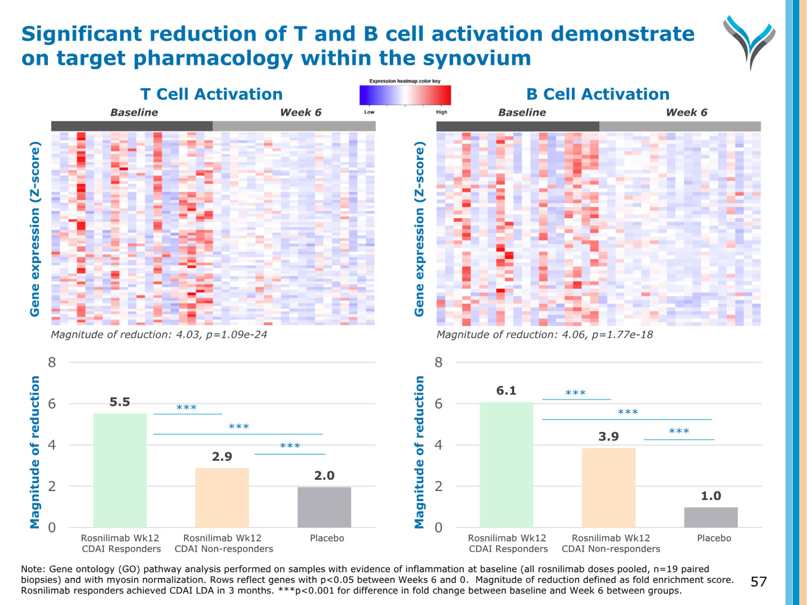 AnaptysBio Corporate Presentation — April 2026 — slide 57 of 66