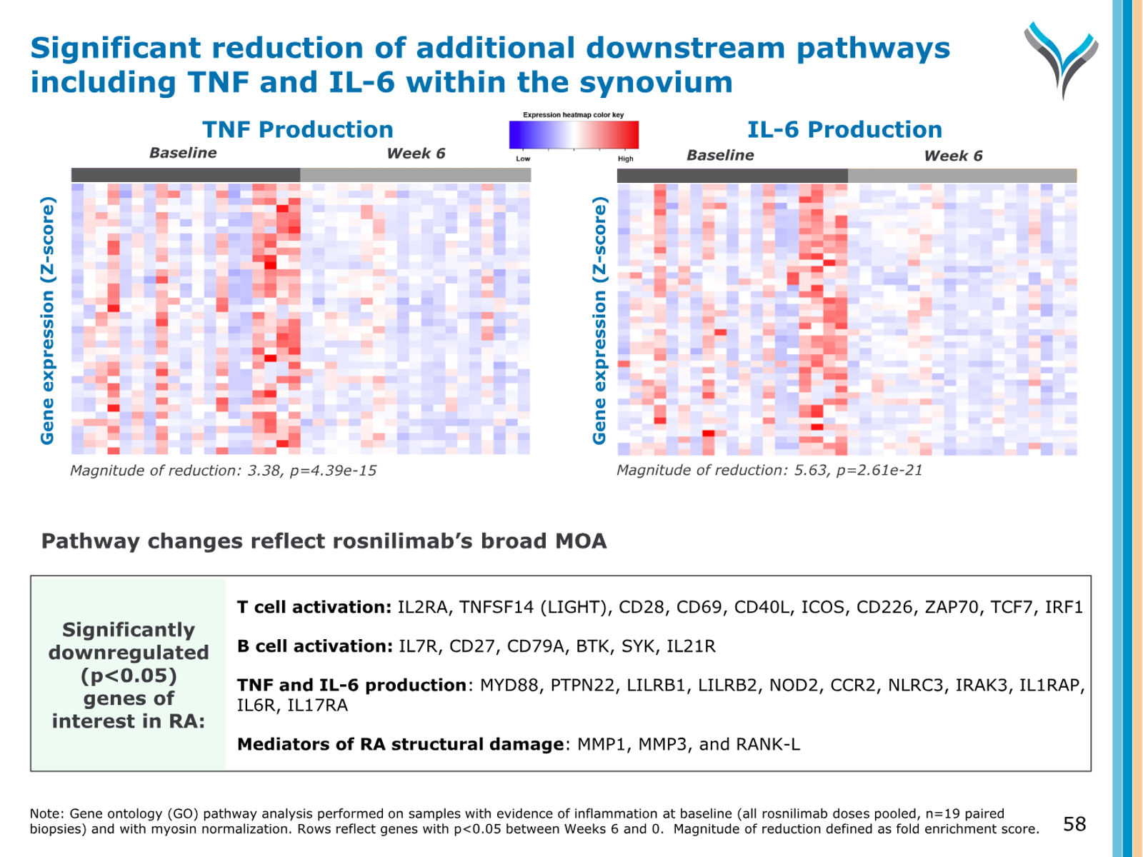 AnaptysBio Corporate Presentation — April 2026 — slide 58 of 66