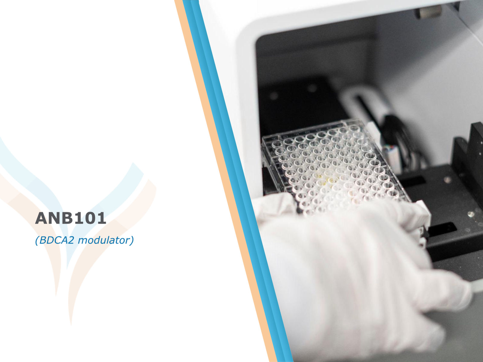 AnaptysBio Corporate Presentation — April 2026 — slide 65 of 66