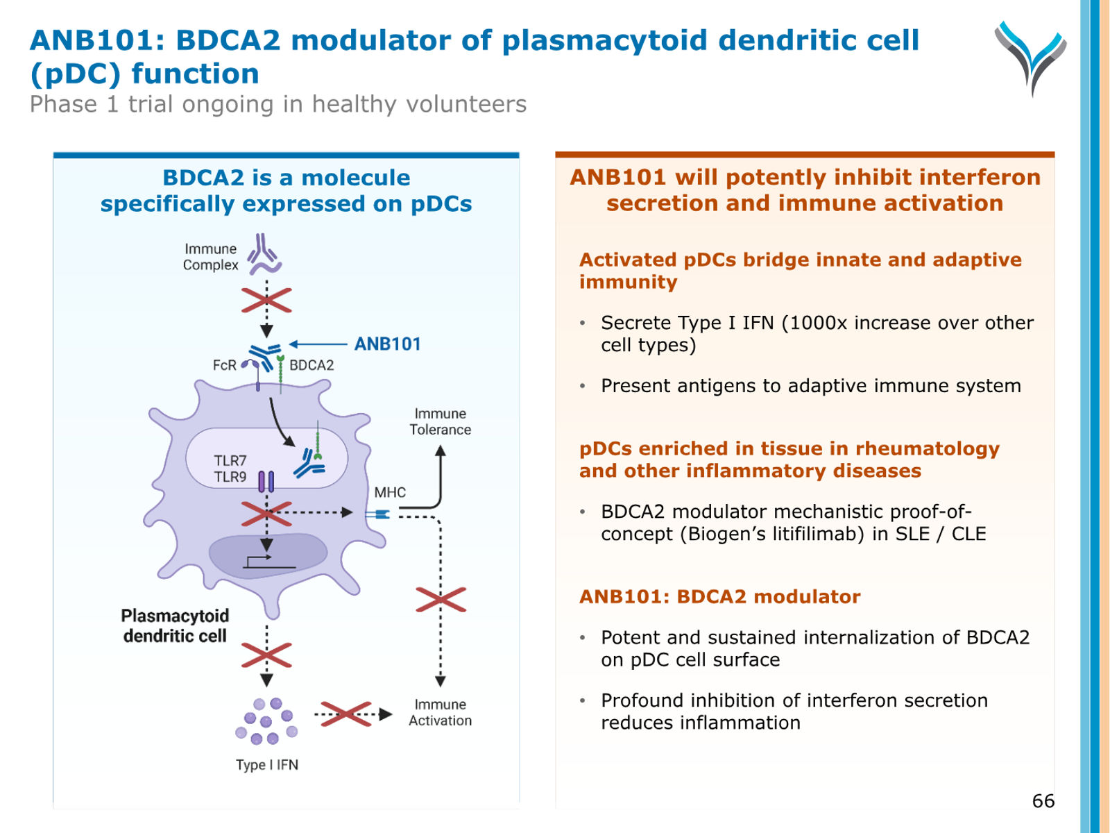 AnaptysBio Corporate Presentation — April 2026 — slide 66 of 66