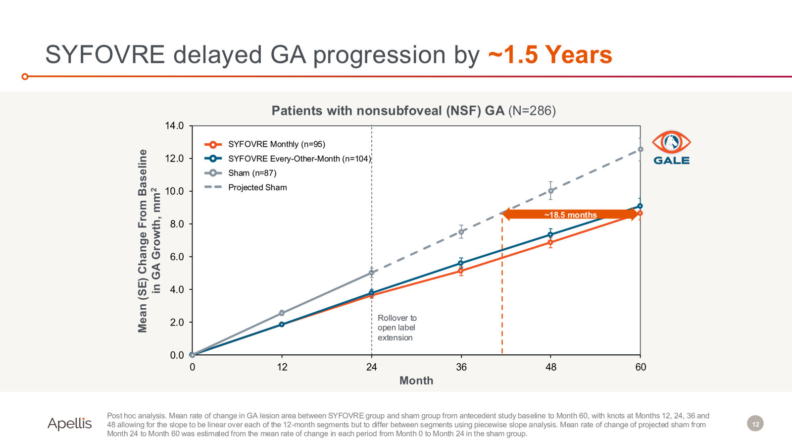 Fourth Quarter and Full Year 2025 Financial Results — slide 12 of 19