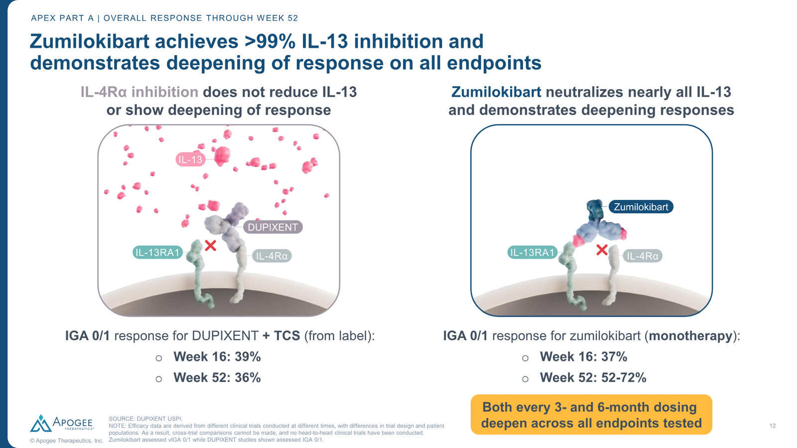 Apogee Therapeutics Corporate Presentation — slide 12 of 26