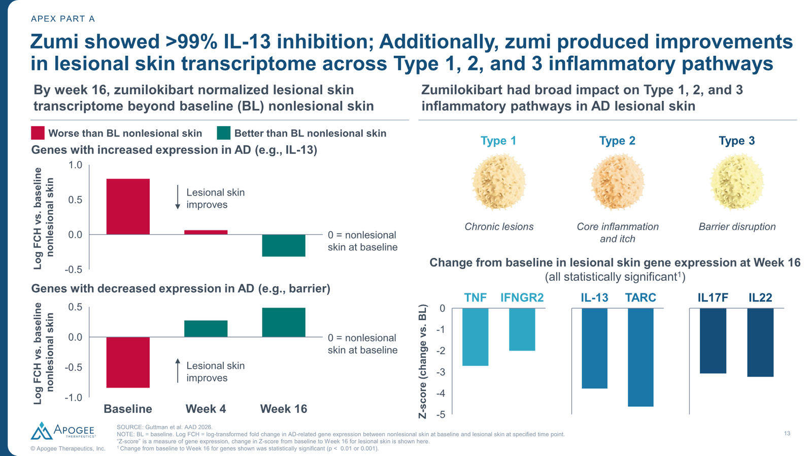 Apogee Therapeutics Corporate Presentation — slide 13 of 26