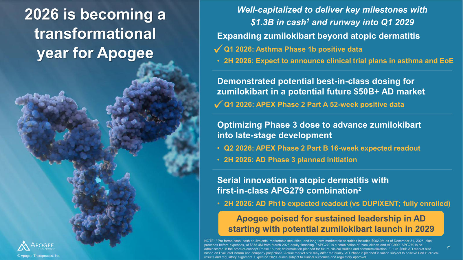 Apogee Therapeutics Corporate Presentation — slide 21 of 26