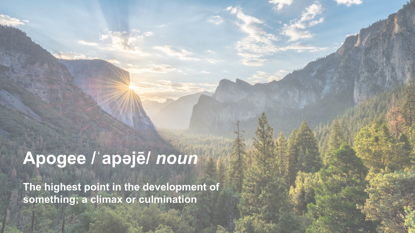 Apogee Therapeutics Corporate Presentation — slide 22 of 26