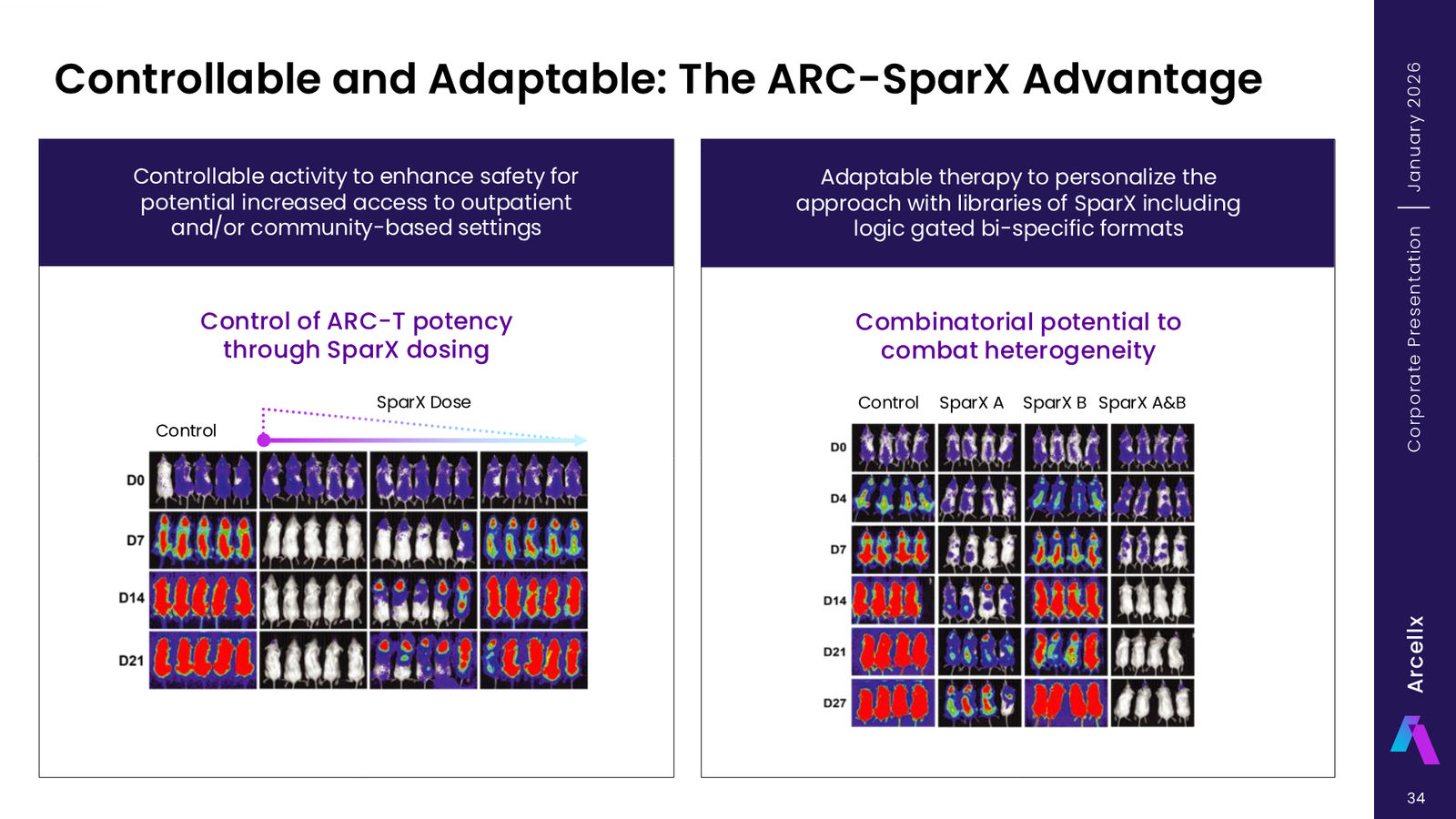 Arcellx January 2026 Corporate Presentation — slide 34 of 65