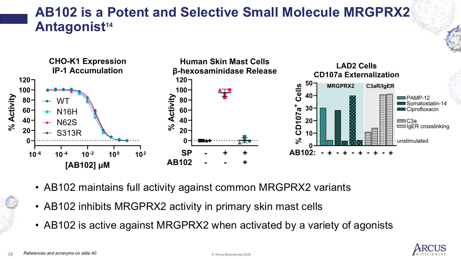 Arcus Biosciences 1Q26 Corporate Presentation — slide 35 of 40