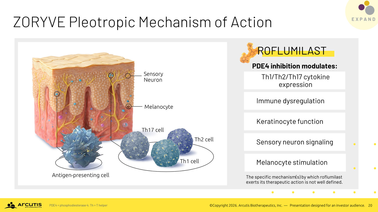 Arcutis Corporate Presentation — April 2026 — slide 20 of 28