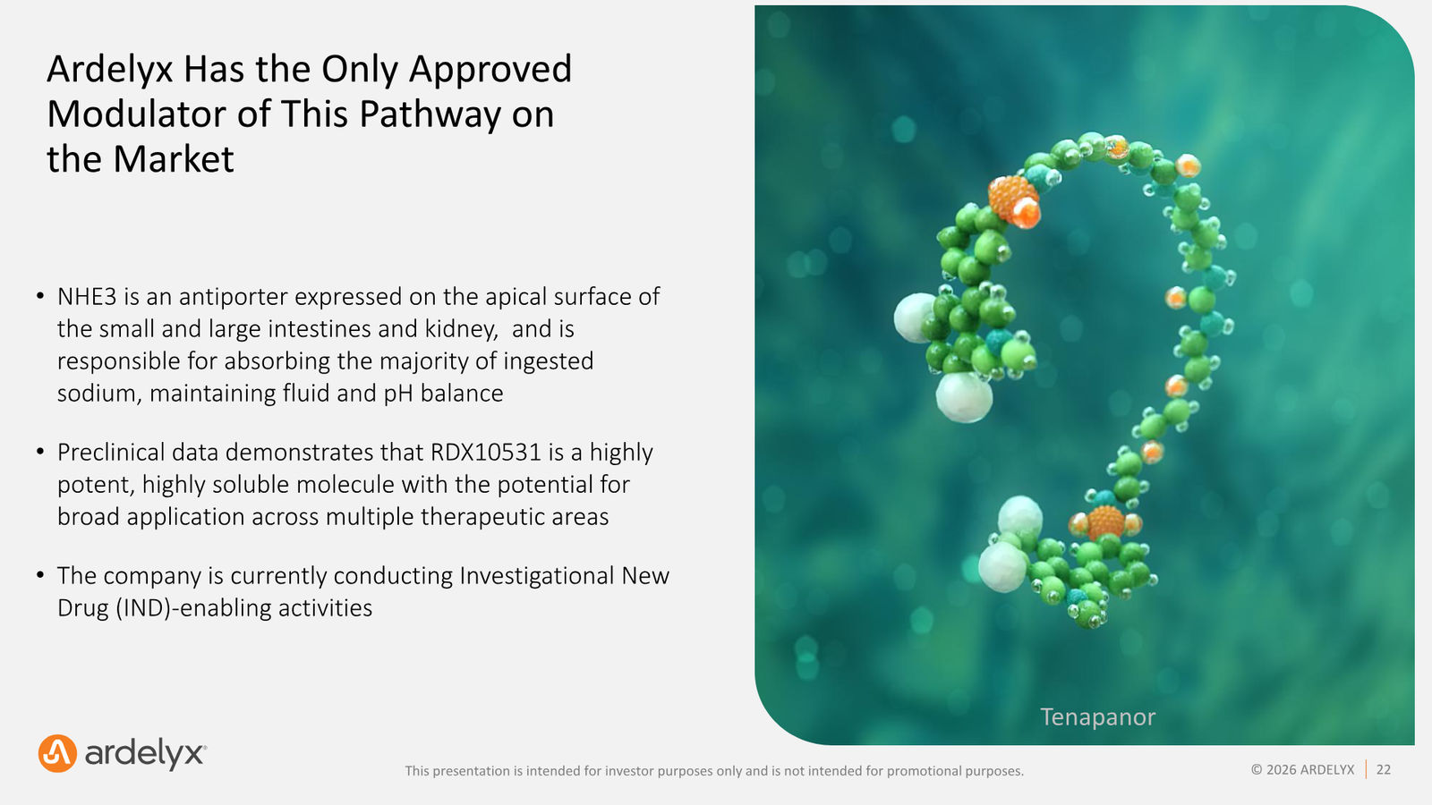 Ardelyx Corporate Presentation — May 2026 — slide 22 of 30