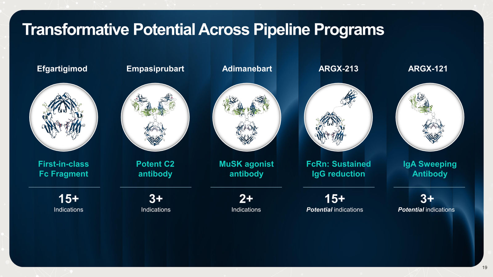 argenx Corporate Presentation March 2026 — slide 19 of 25