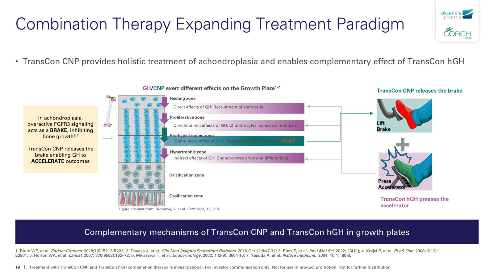 Ascendis Pharma Corporate Presentation — slide 19 of 30