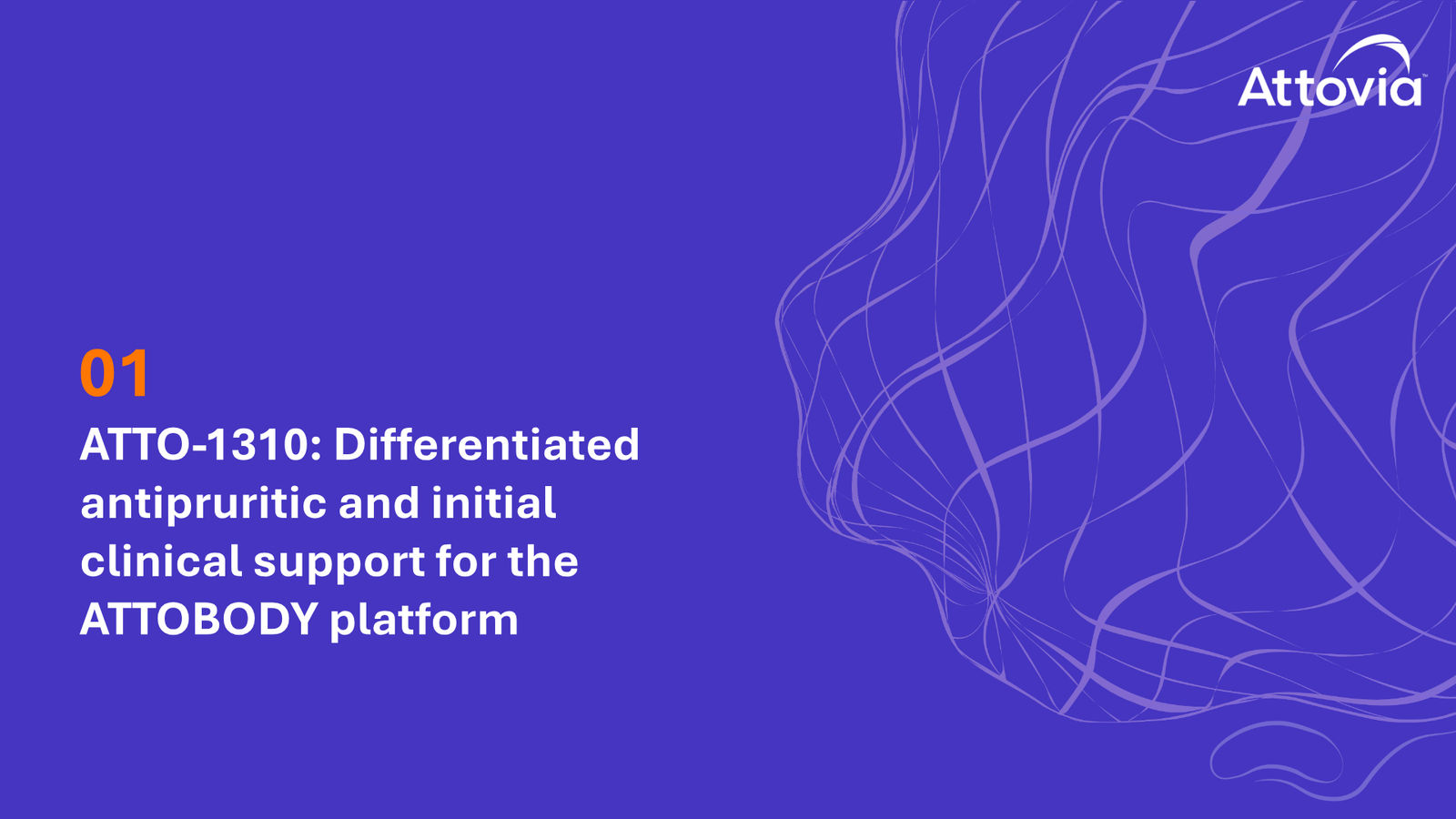 Attovia Corporate Presentation — slide 7 of 28