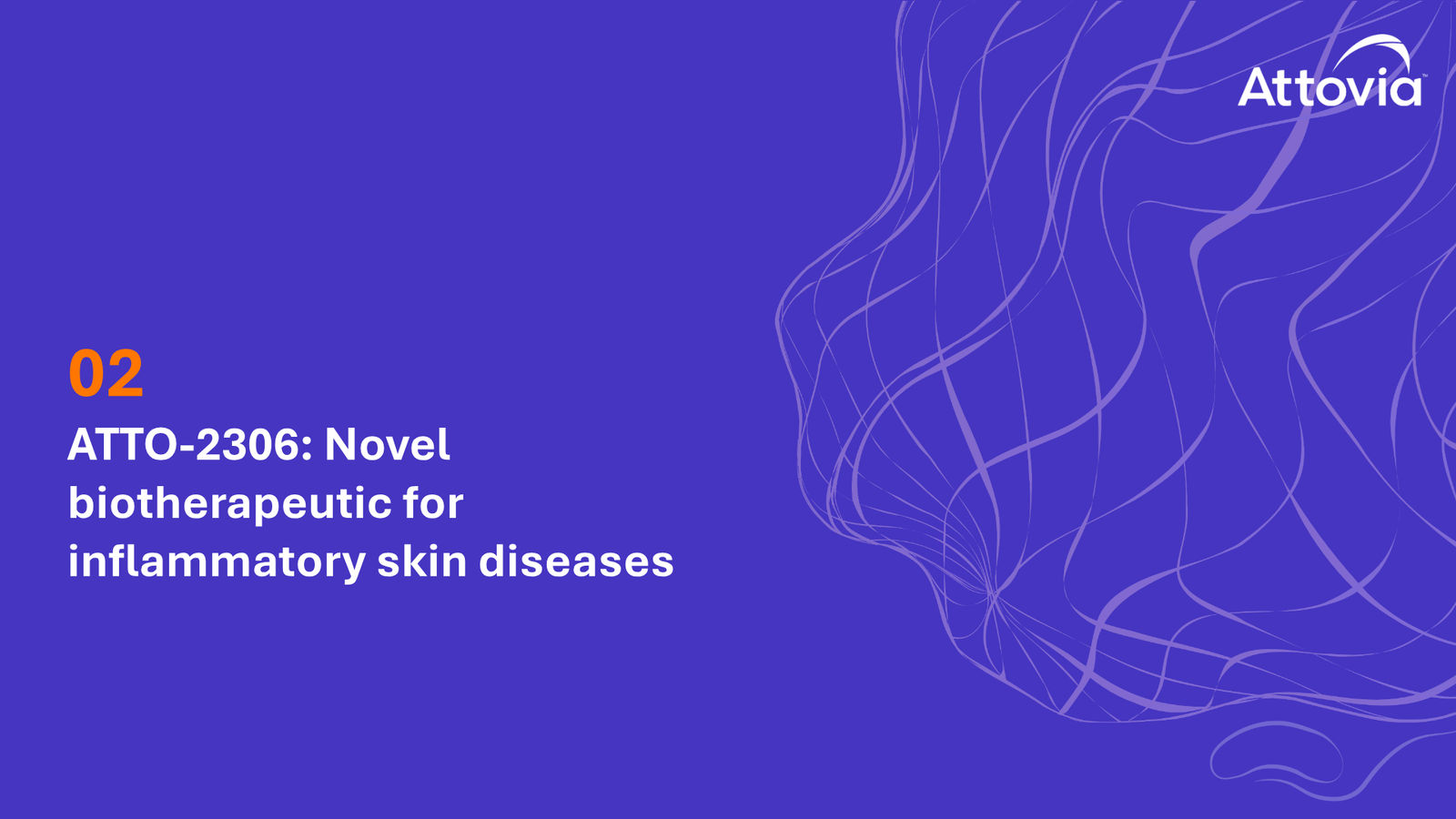 Attovia Corporate Presentation — slide 20 of 28