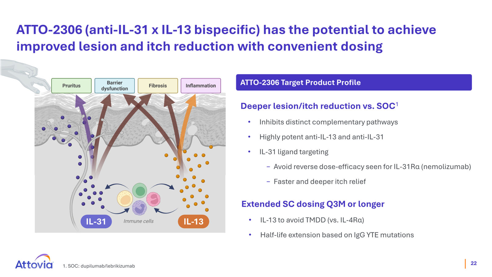 Attovia Corporate Presentation — slide 22 of 28