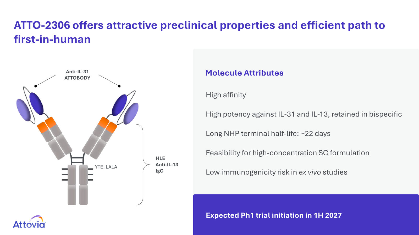 Attovia Corporate Presentation — slide 23 of 28