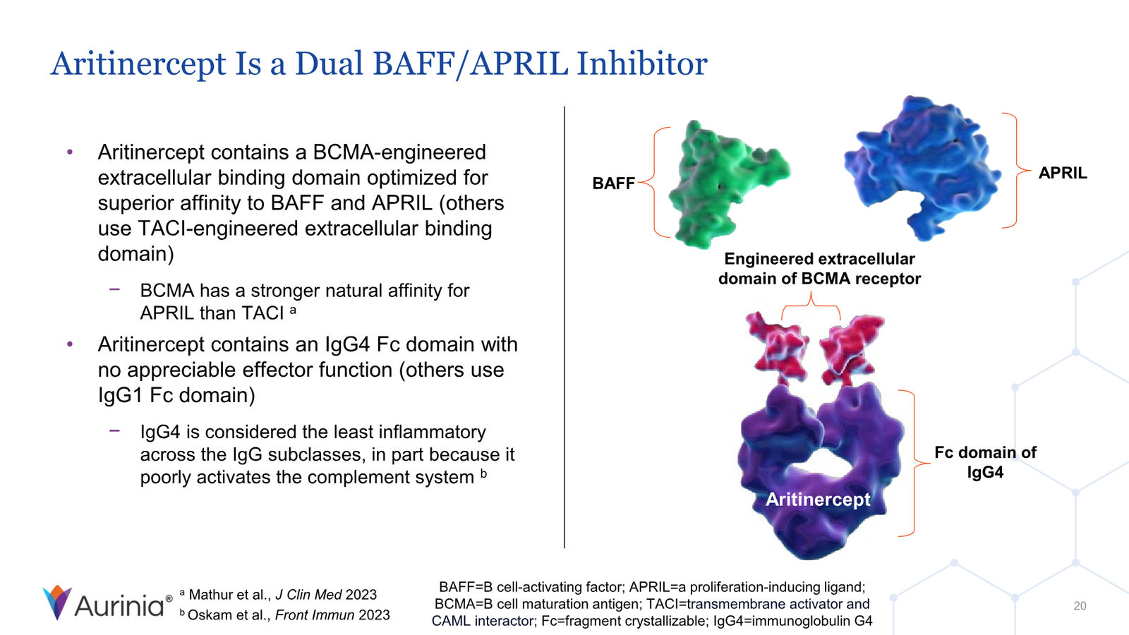 Aurinia Corporate Presentation February 2026 — slide 20 of 31