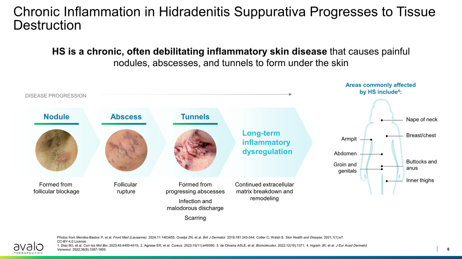 Avalo Corporate Presentation March 2026 — slide 6 of 21